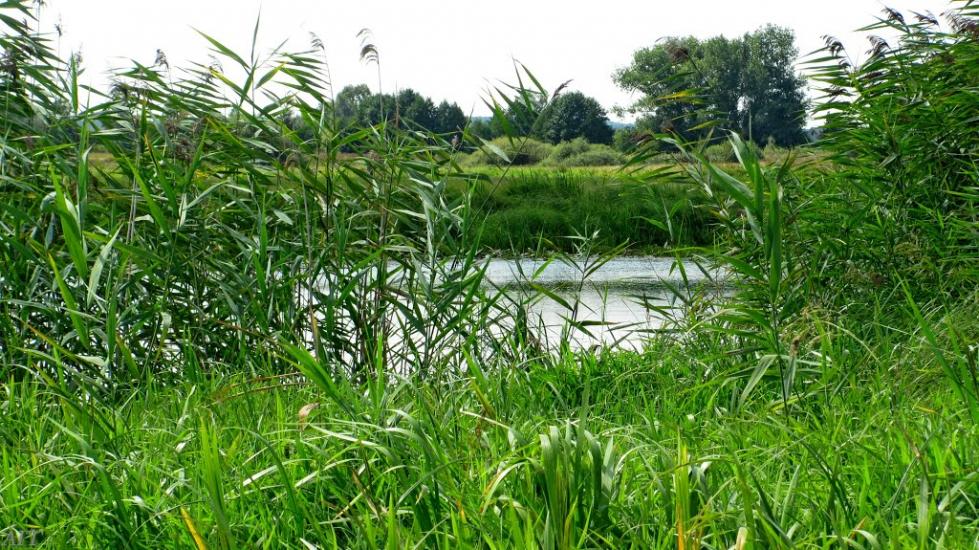 Кузнецовськ з panoramio.com - Varash