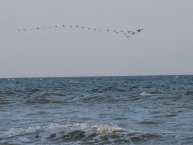 Юр'ївка з panoramio.com - Юр'ївка