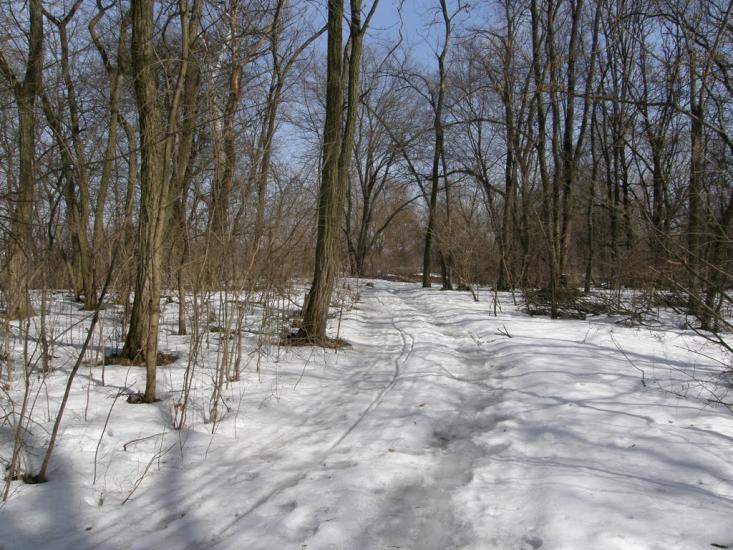 Заріг з panoramio.com - Зарог