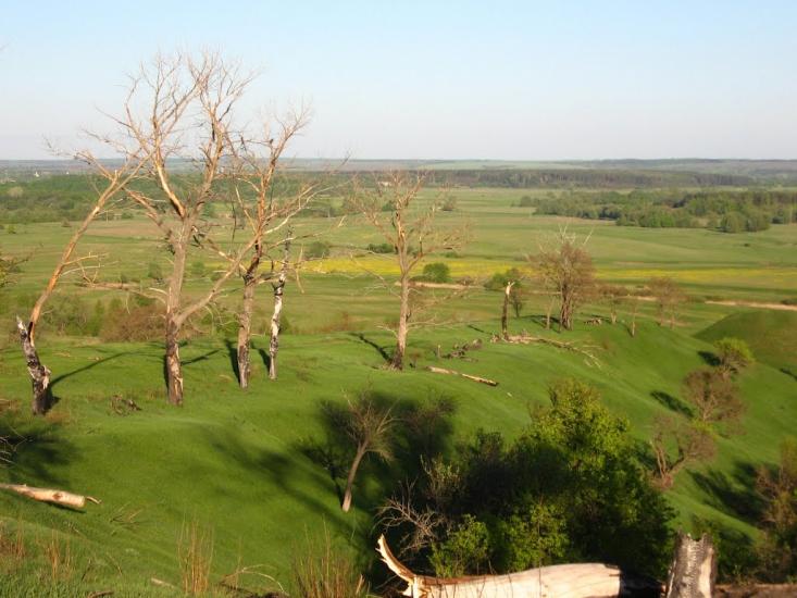 Могриця з panoramio.com - Могрица