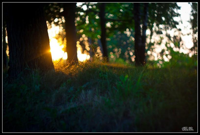 Колоденка з panoramio.com - Колоденка