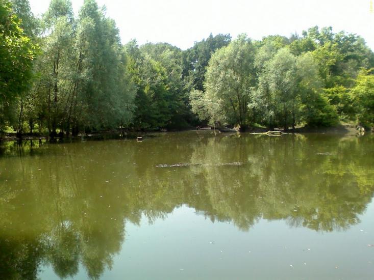 Селезнівка з panoramio.com - Селезневка
