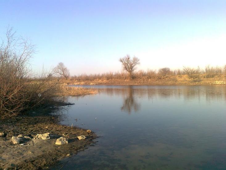 Вірівка з panoramio.com - Веровка