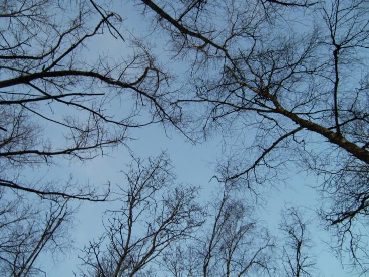 Гельмязів з panoramio.com - Гельмязів