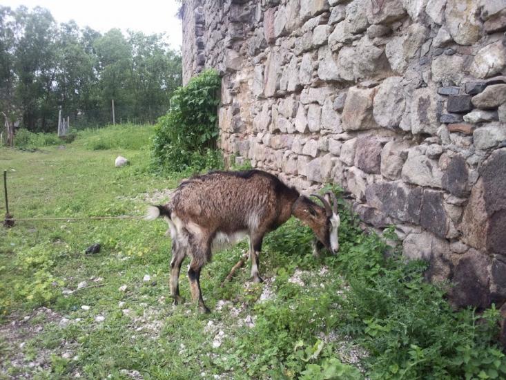 Середнє з panoramio.com - Среднее
