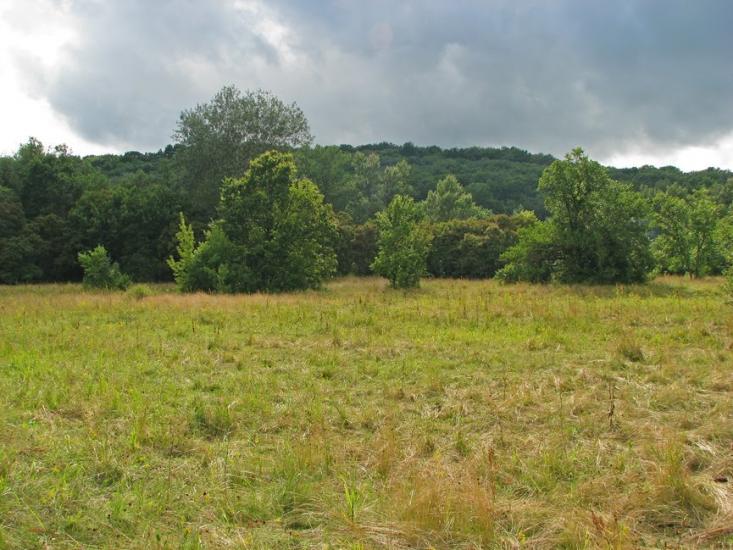 Остап'є з panoramio.com - Ostapye