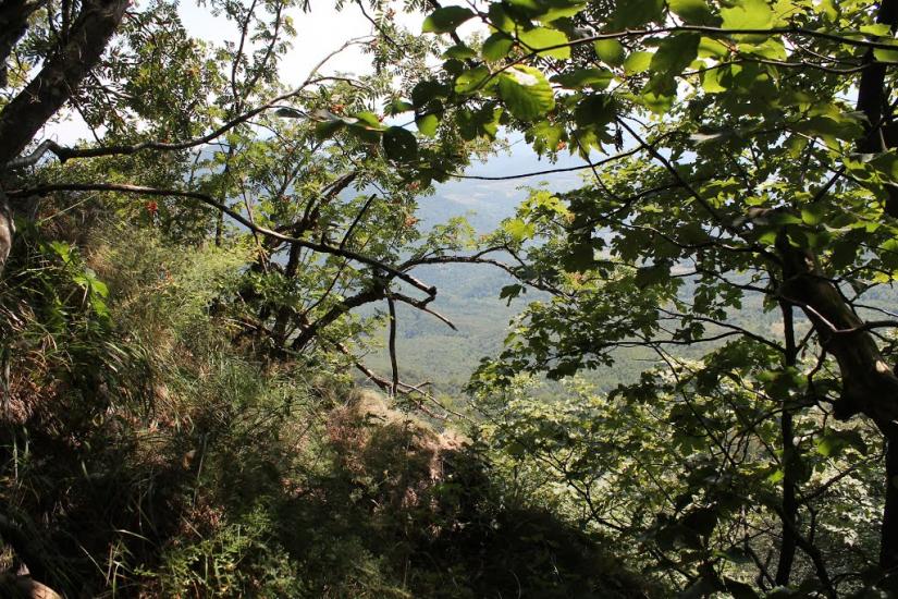Княгиня з panoramio.com - Княгиня