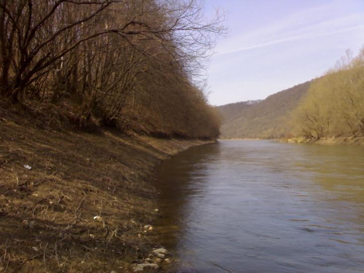 Михальче з panoramio.com - Михальче