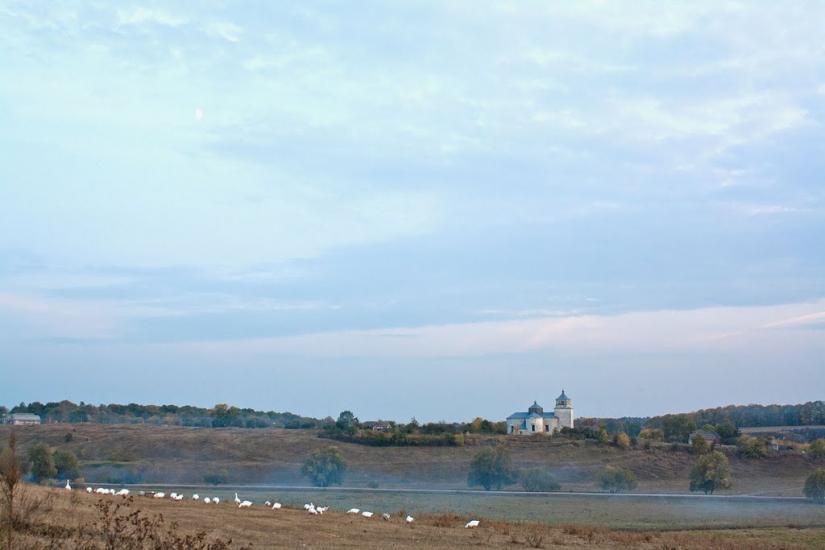 Правдівка з panoramio.com - Правдівка