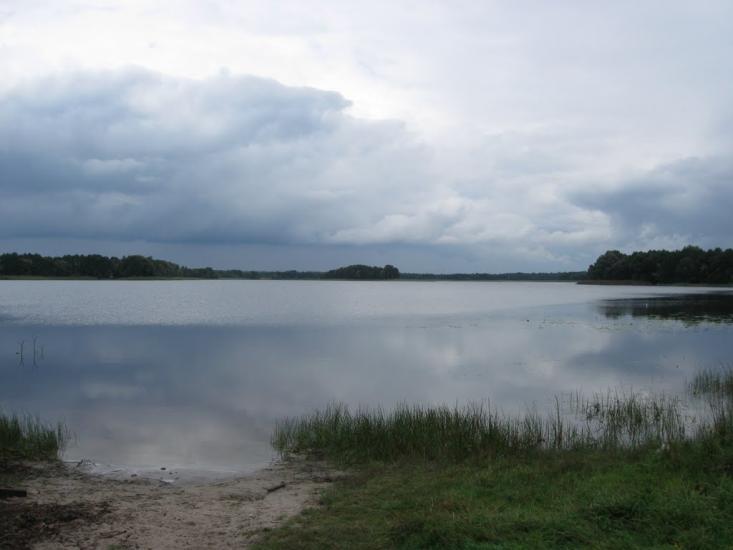 Мельники з panoramio.com - Мельники