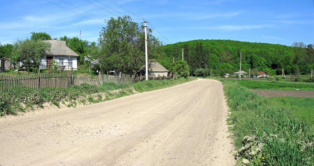 Грушківка з panoramio.com - Grushkivka