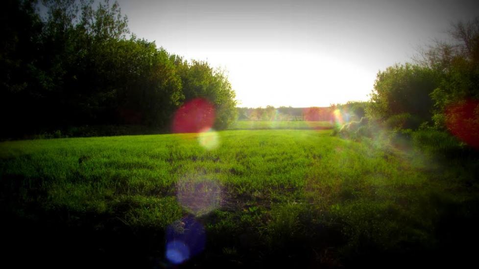 Аджамка з panoramio.com - Аджамка