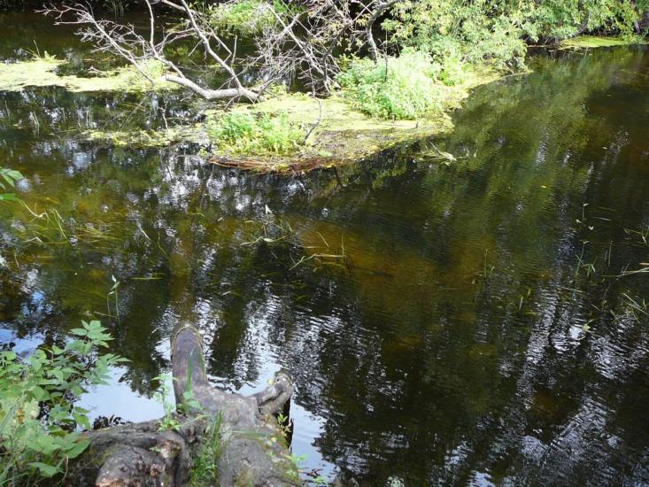 Климентове з panoramio.com - Климентово