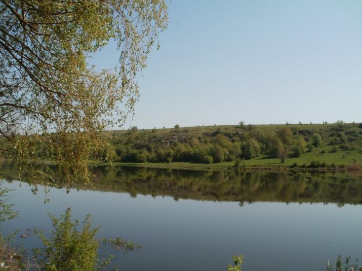 Четвертинівка з panoramio.com - Четвертинівка
