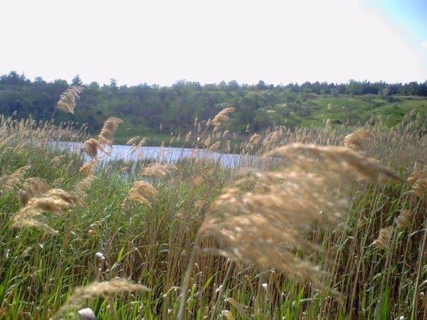 Івана Франка з panoramio.com - Ивана Франко