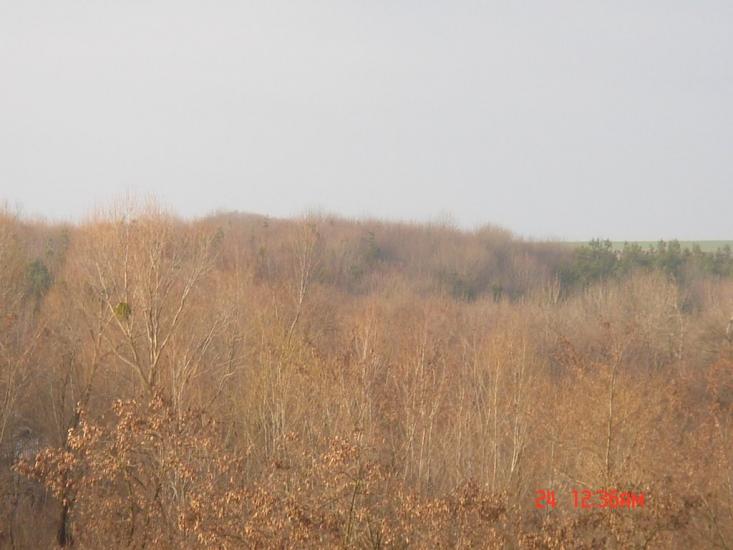 Побірка з panoramio.com - Побірка