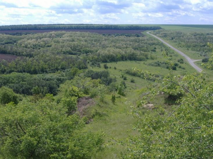 Червона Зоря з panoramio.com - Червона Зоря