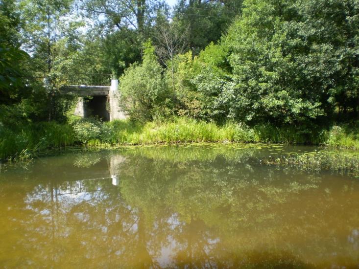 Малин з panoramio.com - Малин