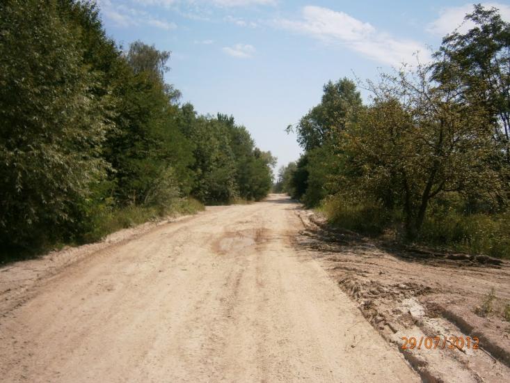 Розділ з panoramio.com - Роздол