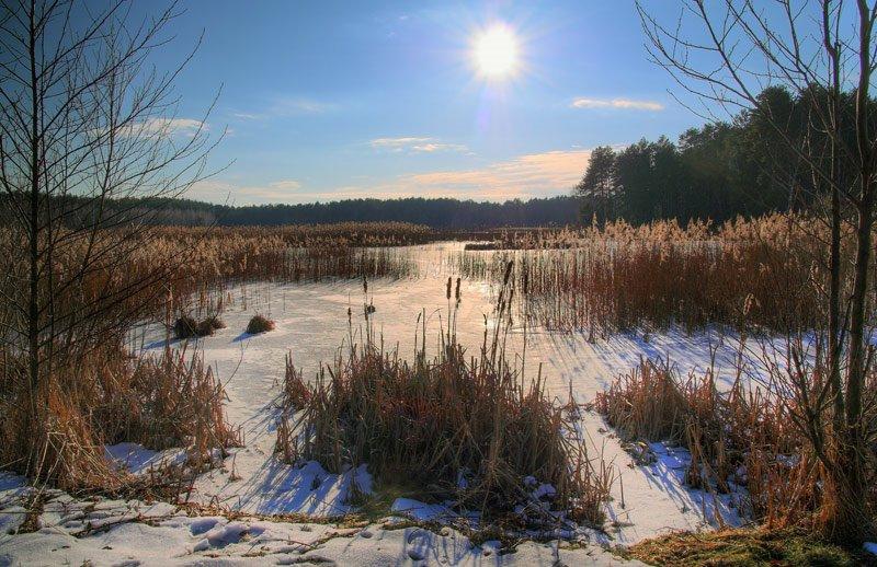 Хоцьки з panoramio.com - Хоцки