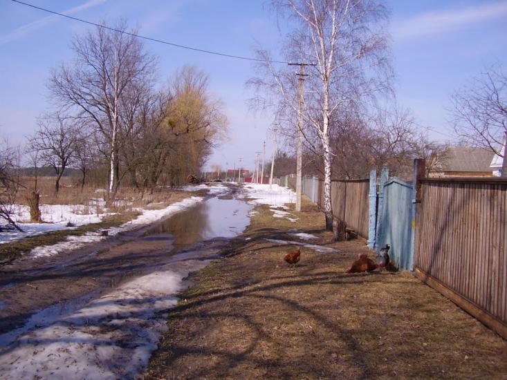 Плахтянка з panoramio.com - Плахтянка