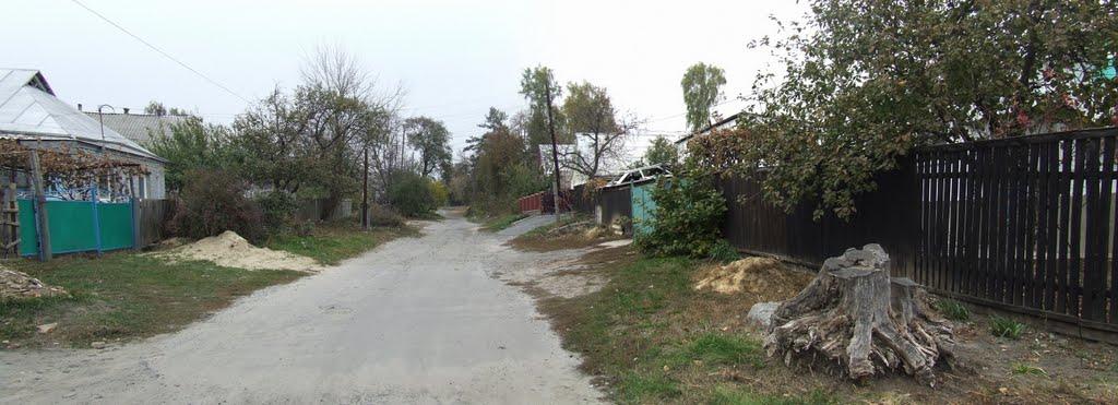Звенигородка з panoramio.com - Звенигородка