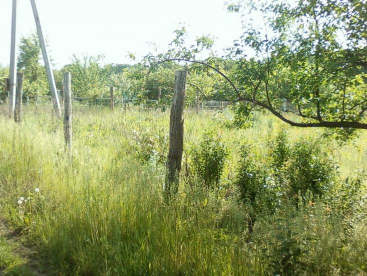 Дергачі з panoramio.com - Дергачи