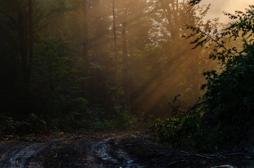 Костринська Розтока з panoramio.com - Костринська Розтока