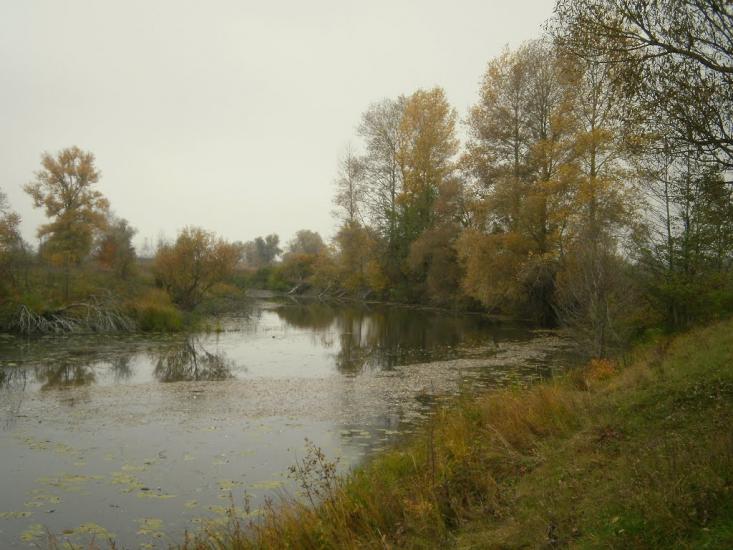 Нижча Дубечня з panoramio.com - Нижча Дубечня