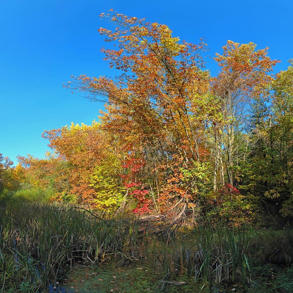 Яворівка з panoramio.com - Javorivka