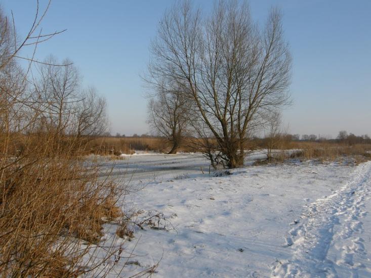 Оржиця з panoramio.com - Orzhytsya