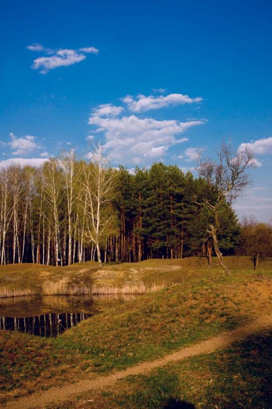 Малин з panoramio.com - Malyn