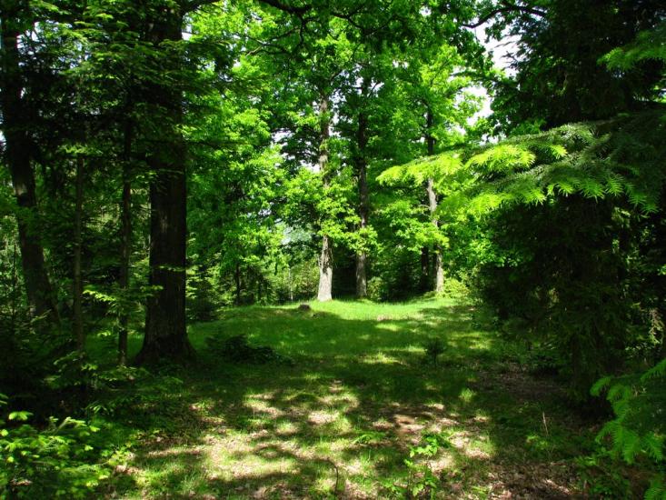 Вістова з panoramio.com - Вістова