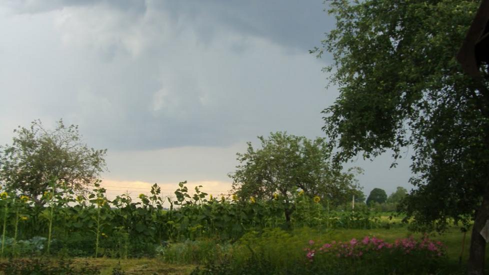 Машеве з panoramio.com - Машево