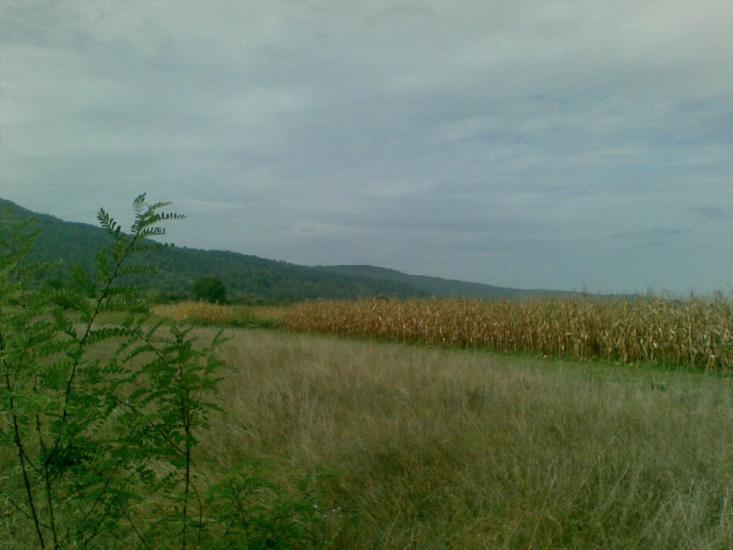 Луг з panoramio.com - Луг