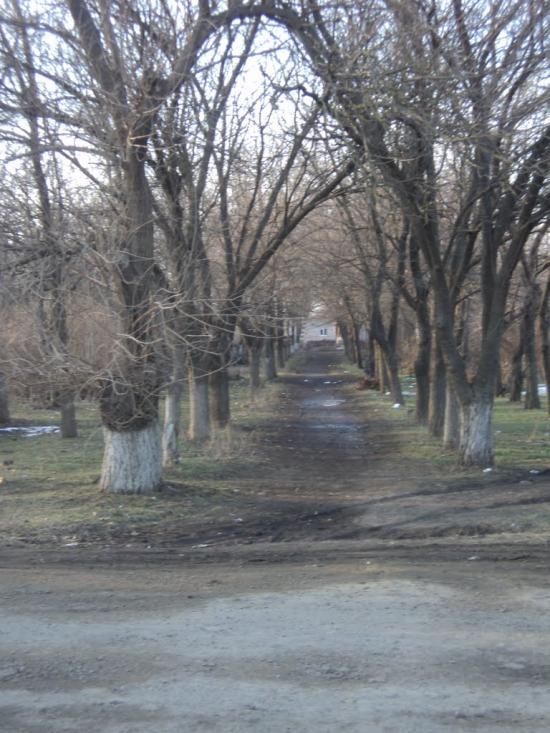 Дачне з panoramio.com - Дачное