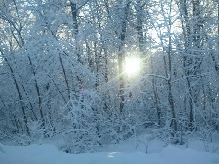 Квіткове з panoramio.com - Квіткове