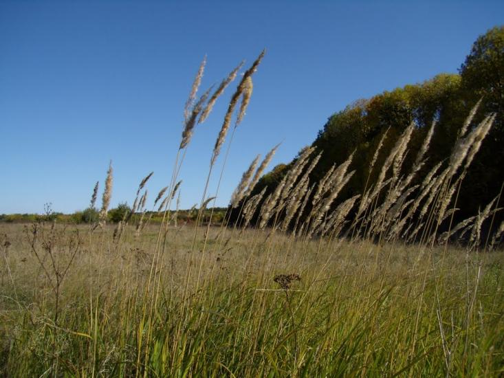 Руська Лозова з panoramio.com - Руська Лозова