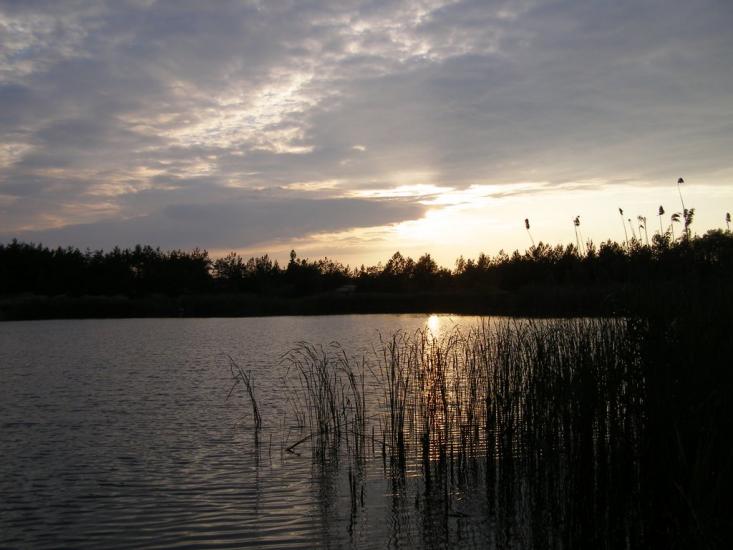 Великі Кошарища з panoramio.com - Великі Кошарища