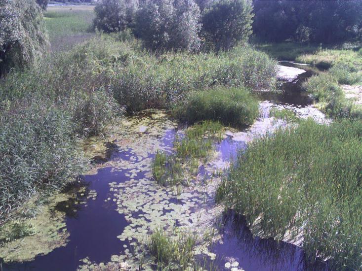 Кінецьпіль з panoramio.com - Конецполь