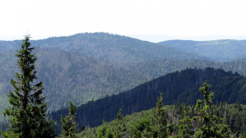 Сухий Потік з panoramio.com - Сухой Поток