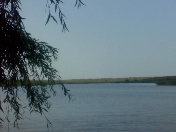 Виноградівка з panoramio.com - Виноградовка