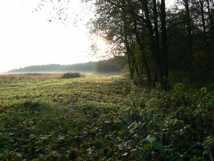 Оржиця з panoramio.com - Orzhytsya