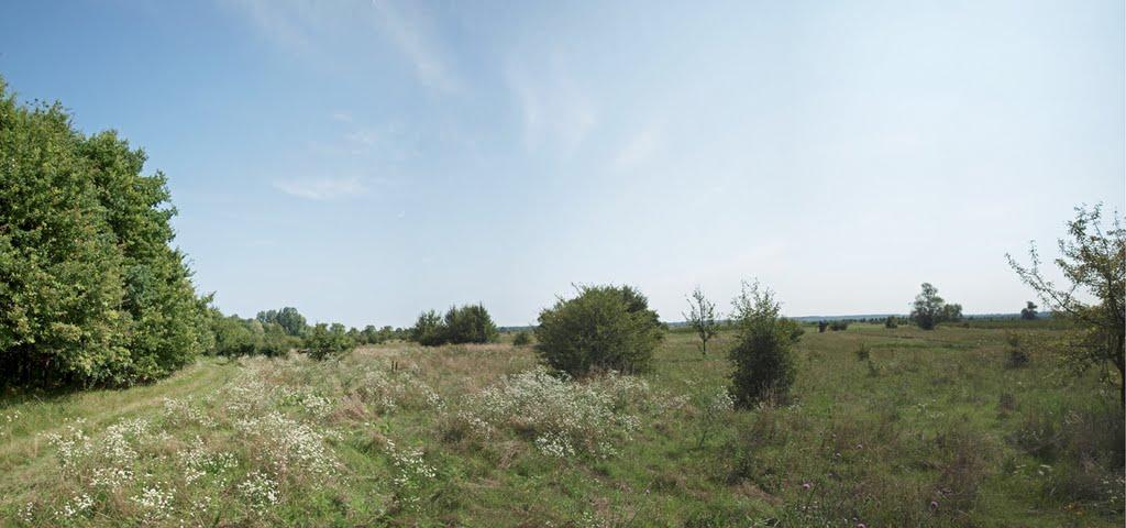 Бірки з panoramio.com - Борки