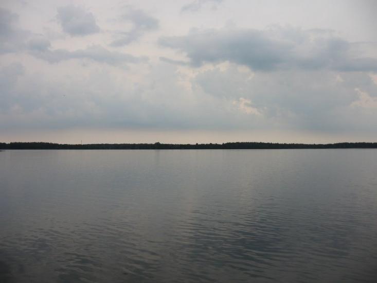 Мельники з panoramio.com - Мельники