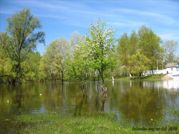 Остер з panoramio.com - Остер
