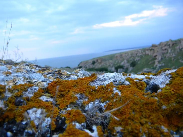 Семенівка з panoramio.com - Семенівка