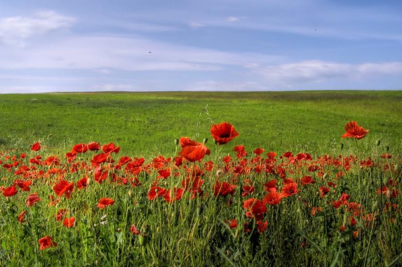 Устечко з panoramio.com - Ustechko