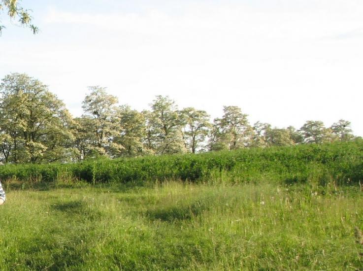 Русанівці з panoramio.com - Русанівці