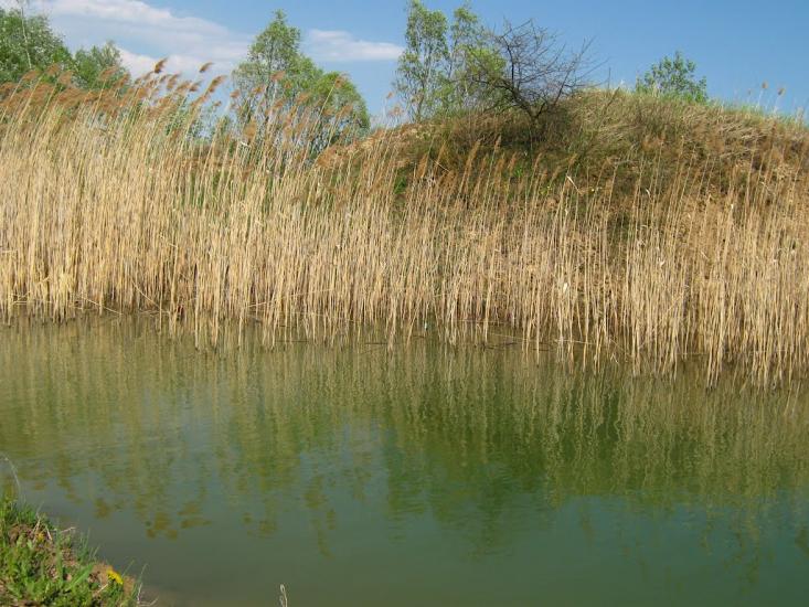 Льгівка з panoramio.com - Льгівка